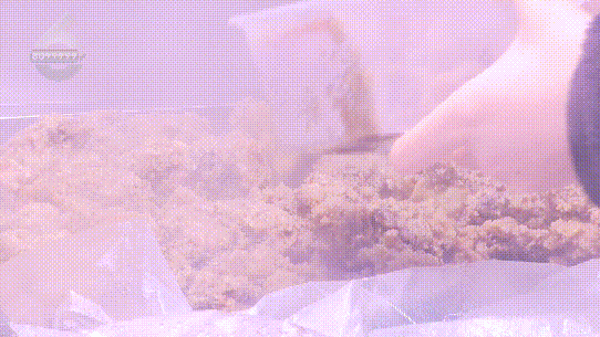 融！这些御寒姿势总有一款适合你麻将胡了试玩平台热腾腾、暖融(图17)